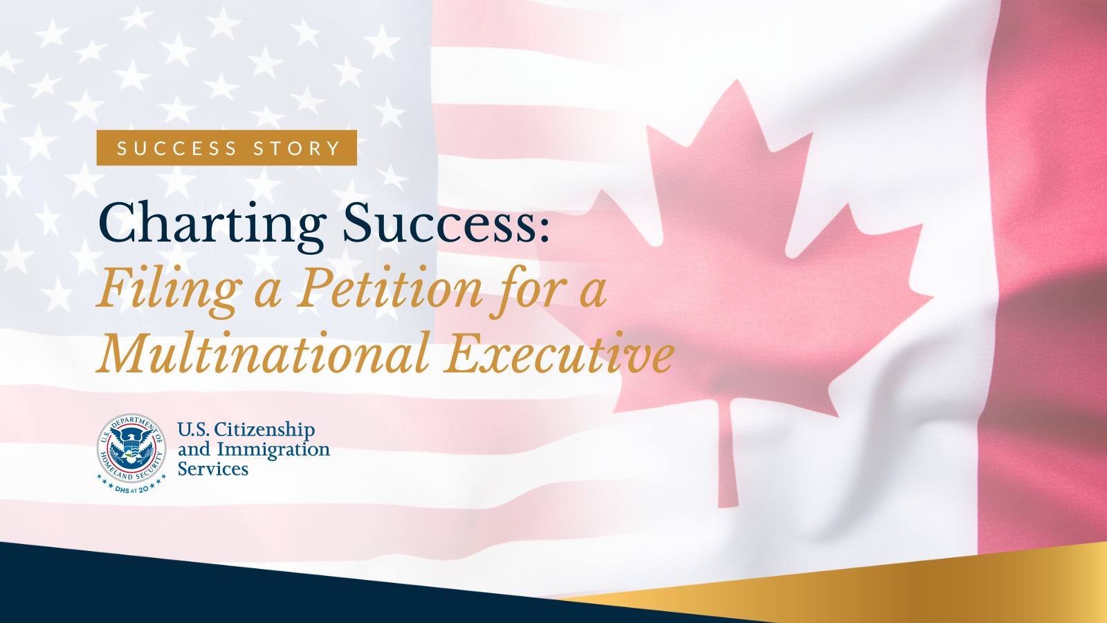 Charting Success: Filing a Petition for a Multinational Executive